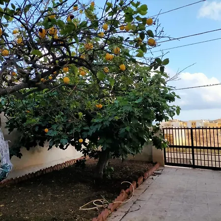 Hébergement de vacances Il Patio - Indipendente Con Ampio Cortile E Giardino Interno